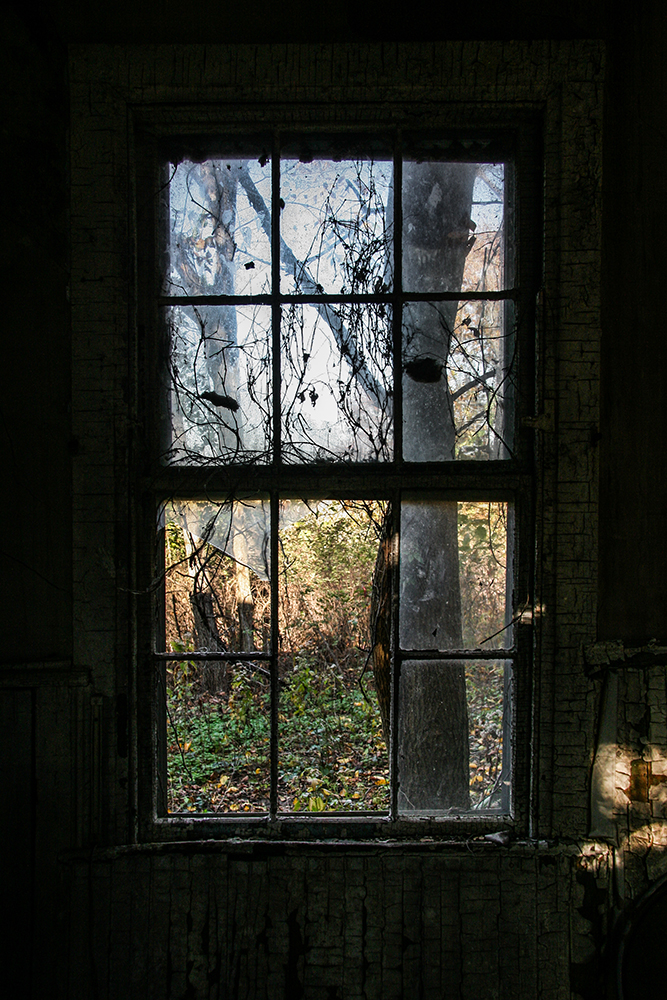  copyright 2023 sublunar